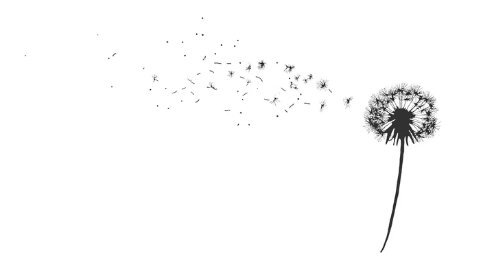 Ink artwork accompanying Receive & Release: The Untold Art of Letting Go